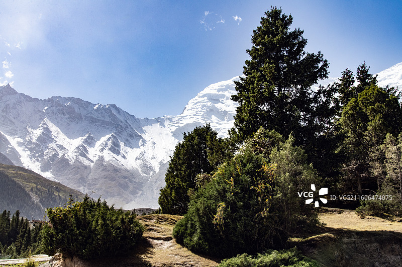 克州冰川公园夏景图片素材