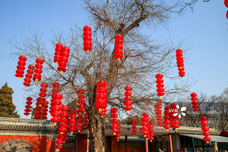 北京圆明园正觉寺里悬挂的灯笼图片素材