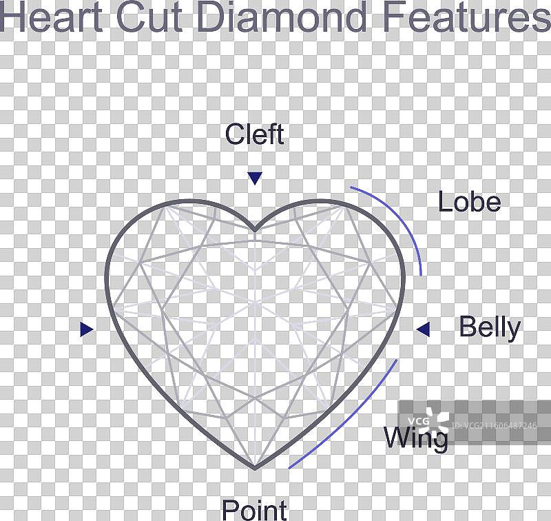 心形宝石解剖图图片素材