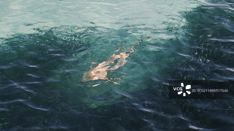 浪中岛海滩日落和鲨鱼图片素材