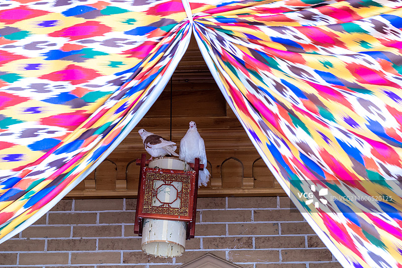 新疆喀什地区莎车县 非遗博览园 鸽子和艾德莱斯扎染花布图片素材