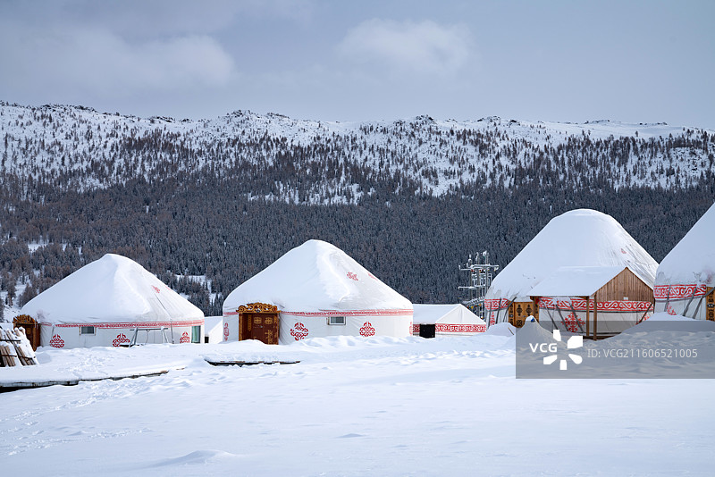 阿勒泰冬季牧场雪景图片素材