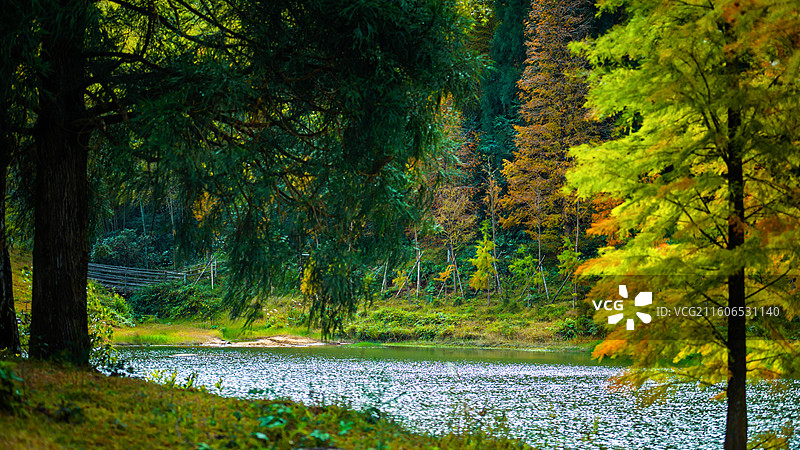 信宜钱排镇鹿湖顶重点自然保护区早晨秋景风光图片素材