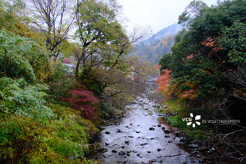 琉璃光院 日本 京都图片素材