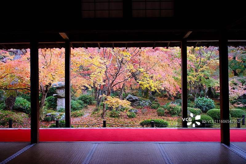 圆光寺 日本京都 秋天红叶图片素材