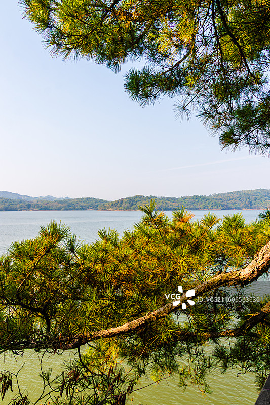 松树、湖水、青山，溧阳天目湖山水园风光图片素材