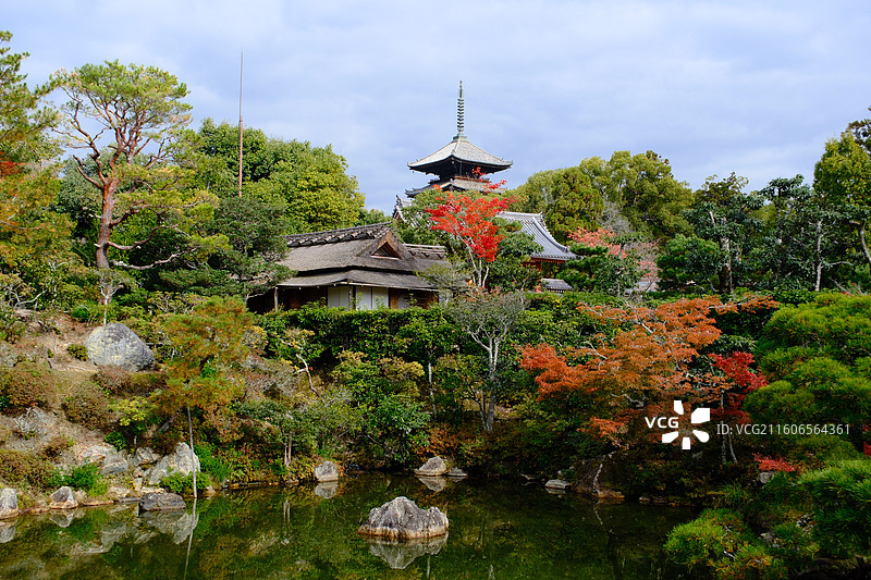 仁和寺 日本京都 秋天红叶图片素材