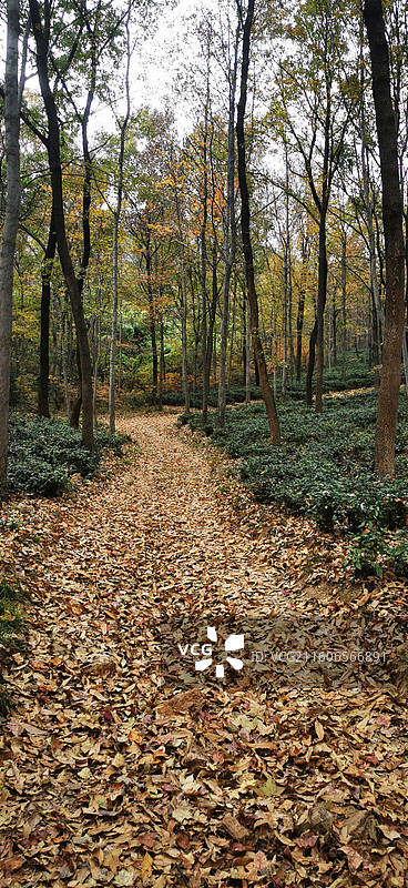 南京浦口区九龙湖风光图片素材