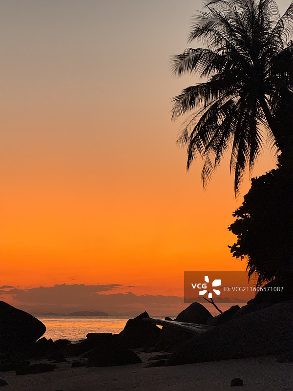 浪中岛海滩日落和鲨鱼图片素材