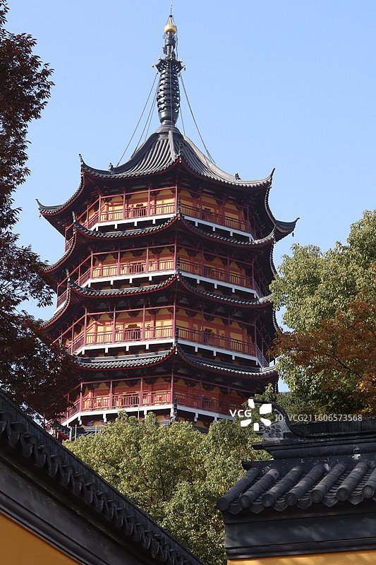 苏州道前街银杏图片素材