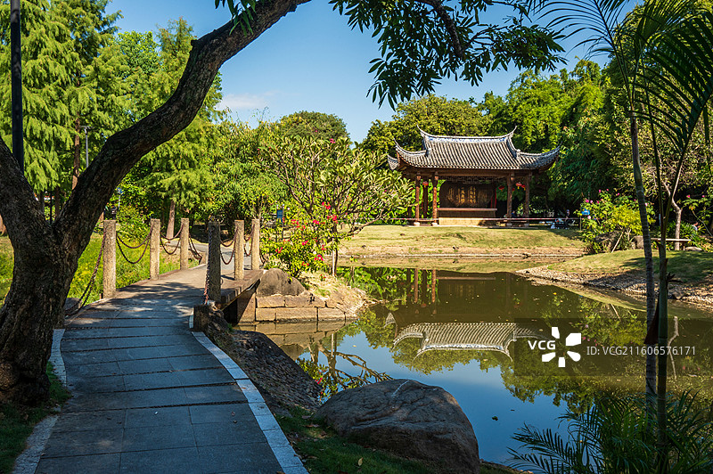 福州南江滨公园晴天秋天景色丛林步道红杉树廊桥图片素材