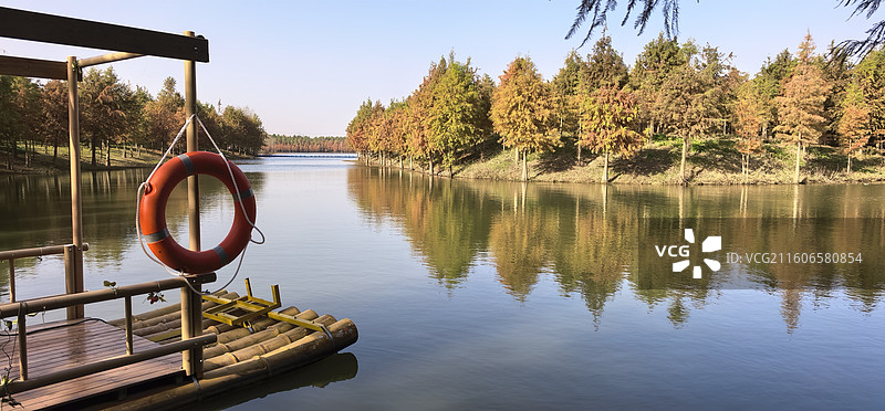 《合肥滨湖国家森林公园》—— 合肥包河区环湖北路图片素材
