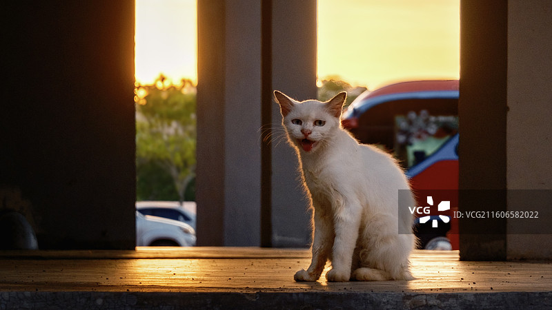 玻璃市和兰卡威图片素材