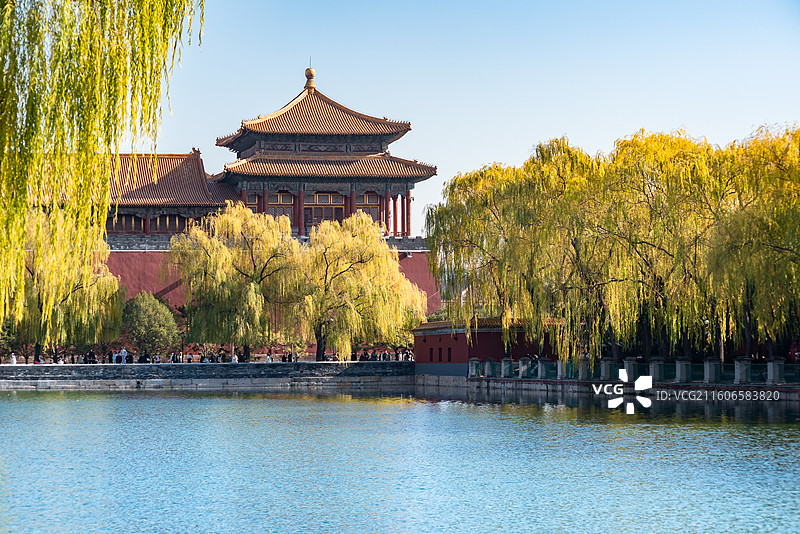 北京故宫雁翅楼护城河金柳图片素材