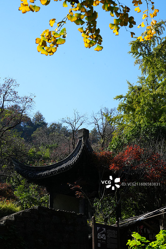 浙江 四明山 4A级景区 丹山赤水 徒步图片素材