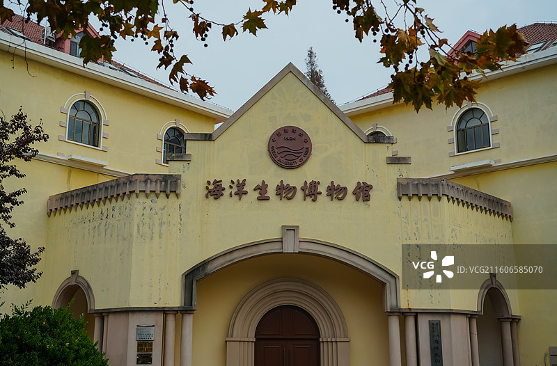 中国海洋大学海洋生物博物馆   山东省青岛市中国海洋大学鱼山校区图片素材