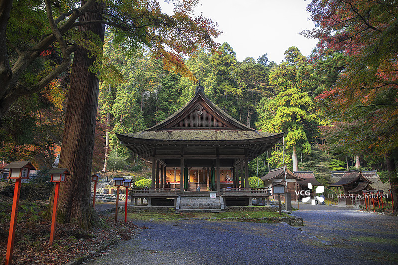 日本滋贺县日吉大社的秋季风光图片素材