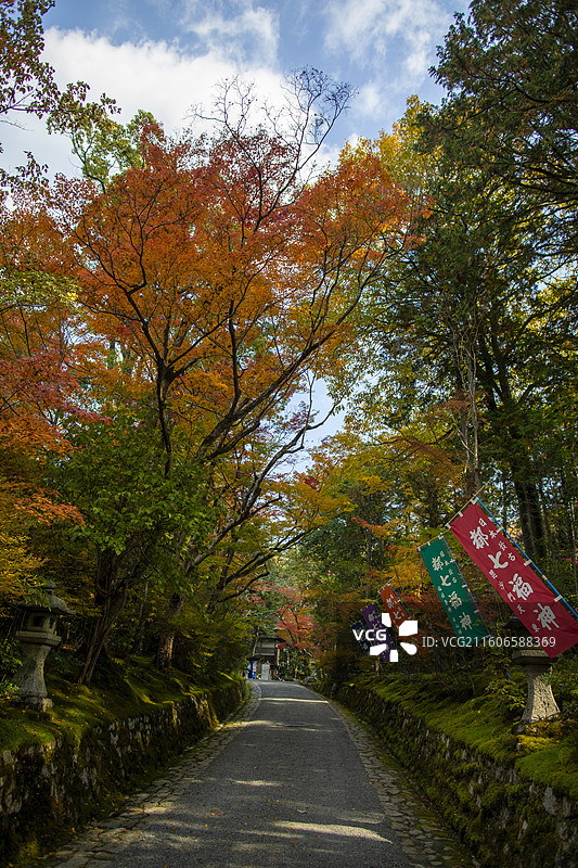日本京都赤山禅院的秋季风光图片素材