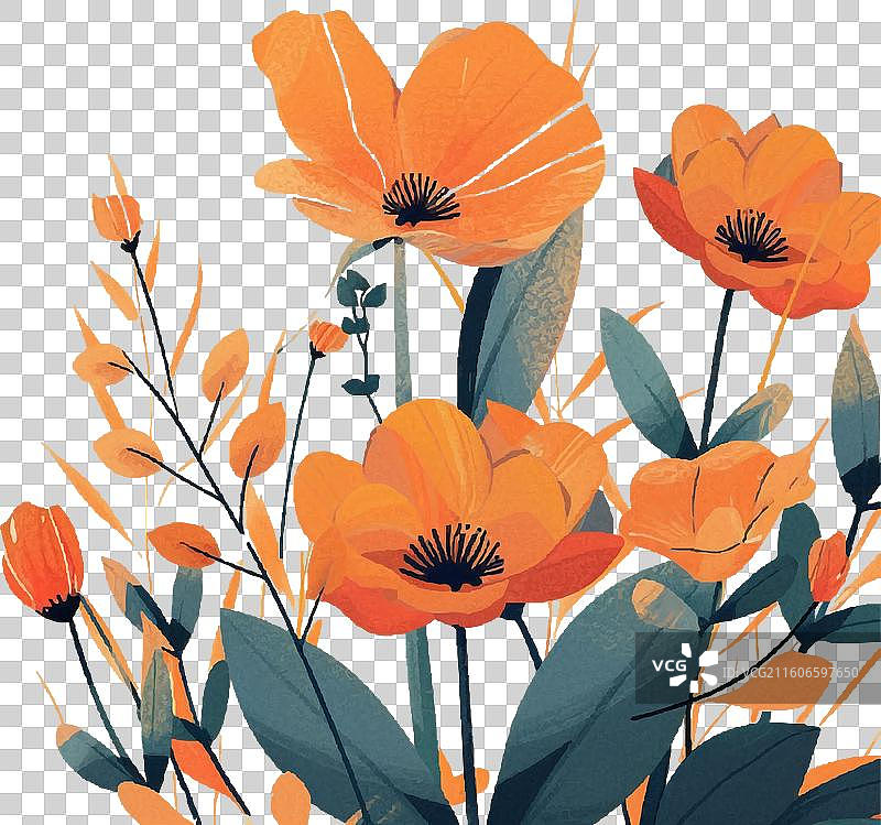 秋日鲜艳的平铺花朵，米色背景图片素材