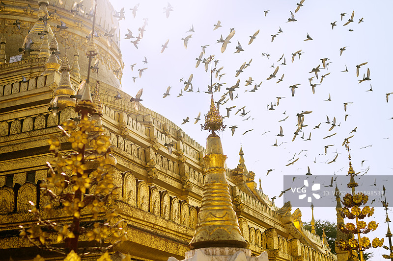 缅甸瑞西光塔图片素材