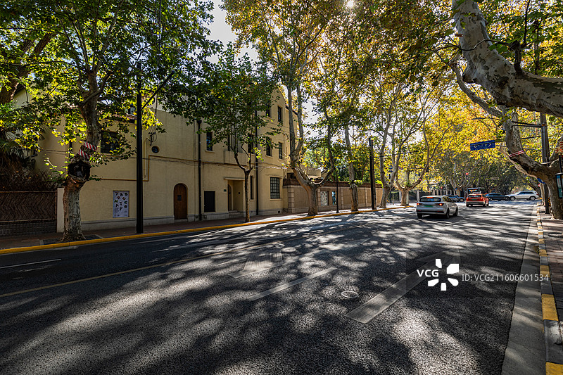 上海市徐汇区  秋日里的衡山路街区街景风光图片素材