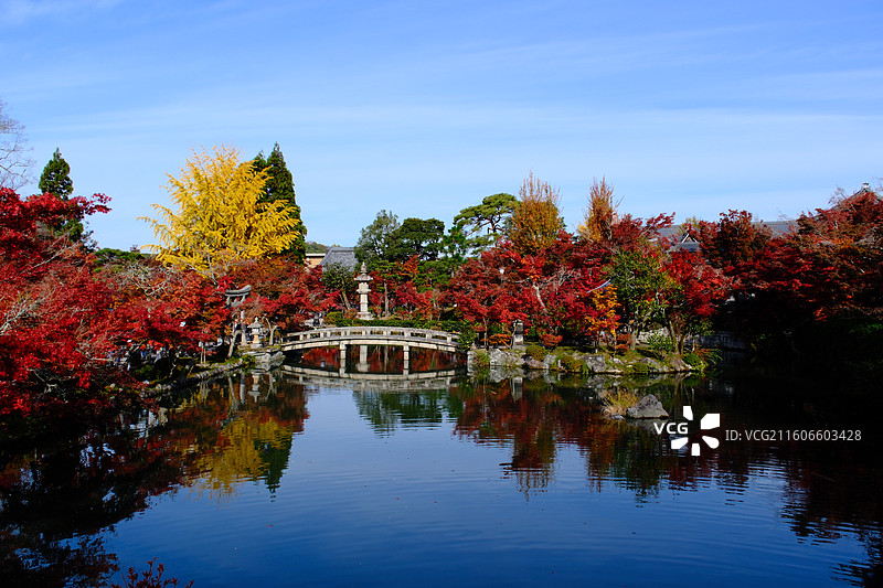 永观堂 日本京都 秋天红叶图片素材