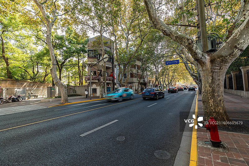 上海市徐汇区  秋日里的衡山路街区街景风光图片素材