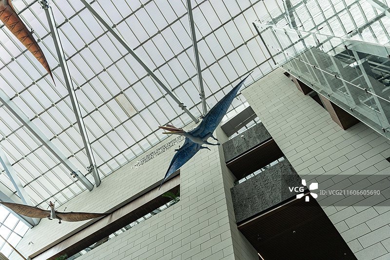 四川成都自然博物馆图片素材