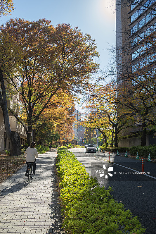 东京大学校园图片素材