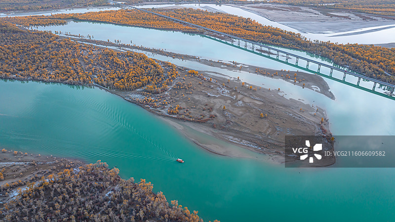 中国新疆塔里木河胡杨林图片素材