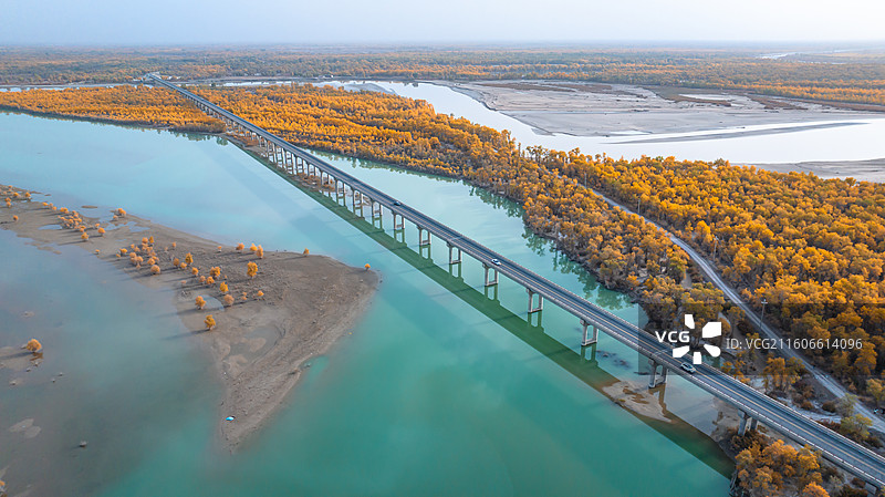 中国新疆塔里木河胡杨林图片素材