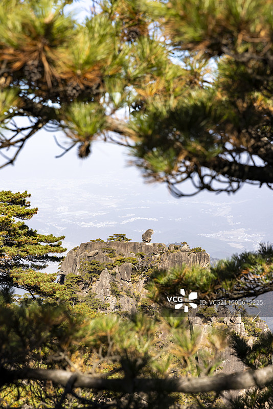 安徽黄山猴子观海图片素材