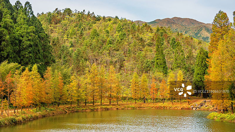 信宜钱排镇鹿湖顶重点自然保护区早晨秋景风光图片素材