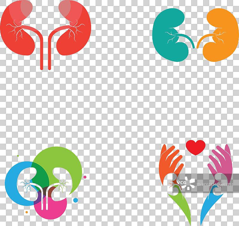 肾脏标志图片素材