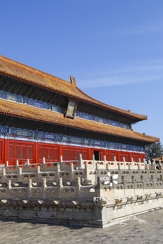 北京太庙秋天建筑柏树白猫风光图片素材