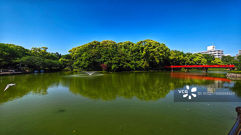 日本大阪四天王寺公园紧邻四天王寺，园内花木繁茂，有池塘点缀，与古寺建筑相映成趣，充满宁静禅意。图片素材