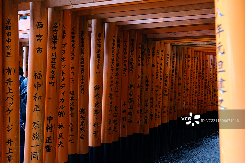 日本伏见稻荷神社鸟居图片素材
