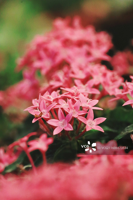 无锡堰桥江南古村落天上村前历史文化街区景点图片素材
