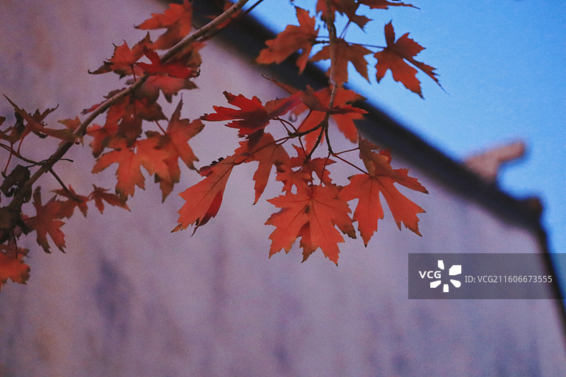 无锡堰桥江南古村落天上村前历史文化街区景点图片素材