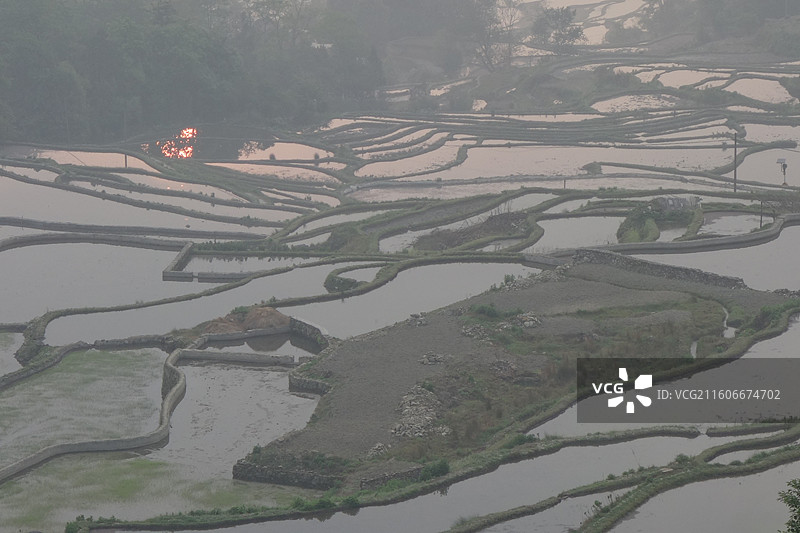 云南省红河州元阳梯田：箐口梯田日出晨曦图片素材