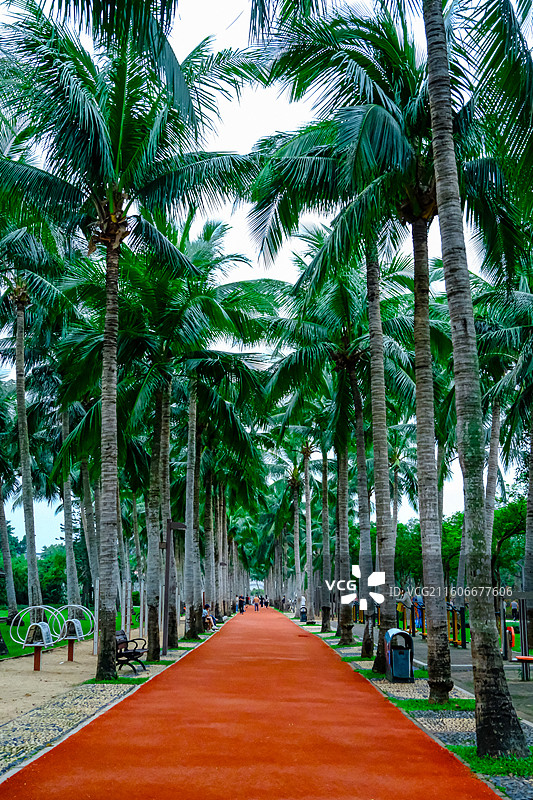 城市与公园，中国海南省海口市万绿园风光，图片素材