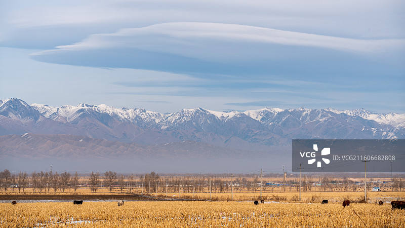 新疆博尔塔拉温泉县的雪山草原冬景图片素材