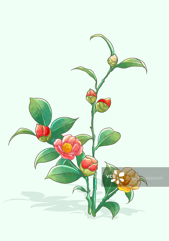 植物鲜花插画素材图片素材