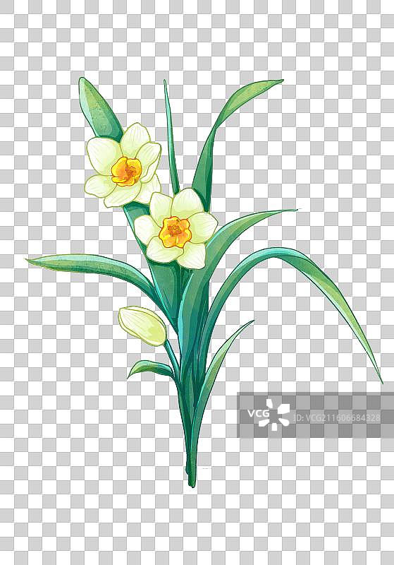 植物素材鲜花元素兰花图片素材