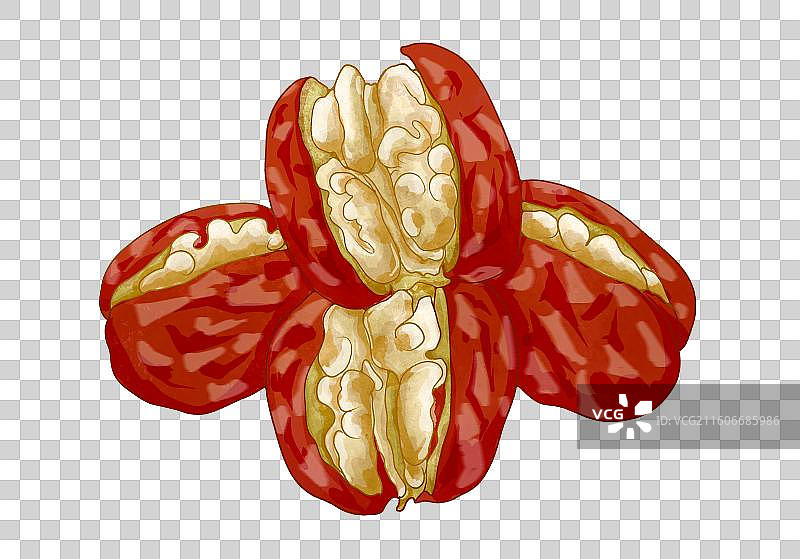坚果红枣核桃图片素材