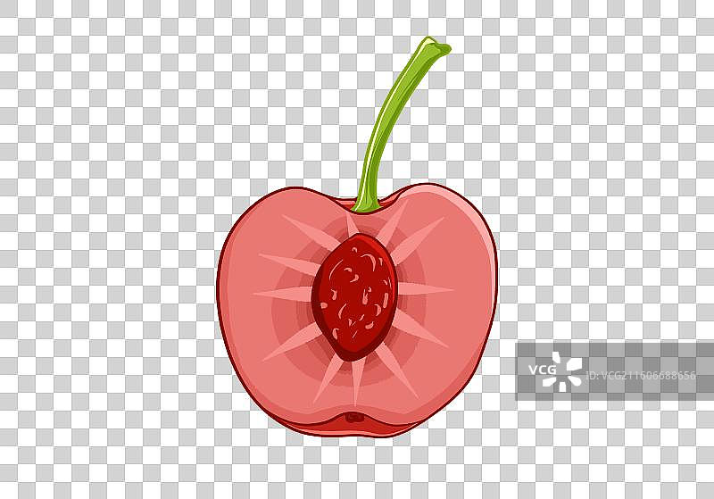 扁平风水果元素半个樱桃图片素材