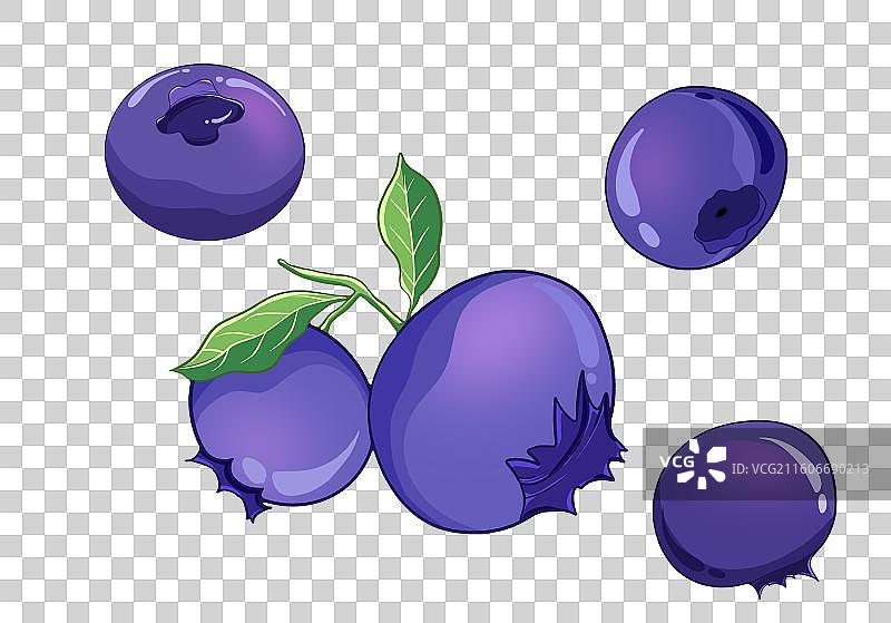 扁平风水果元素各种形态的蓝莓图片素材