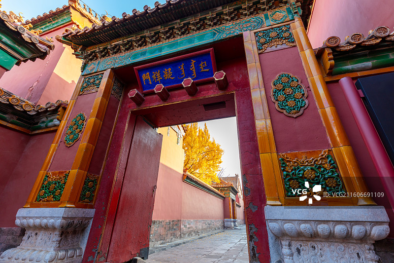 北京故宫后宫凝祥门秋景银杏图片素材