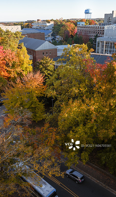 UNC 校园 北卡罗莱纳州大学教堂山图片素材