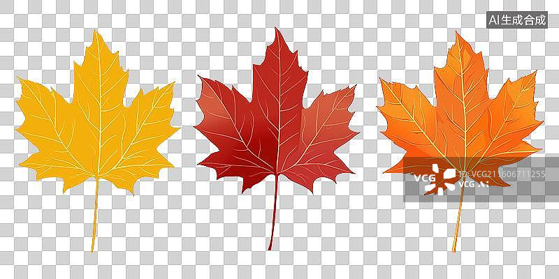 【AI数字艺术】三片秋叶的彩色插画图片素材